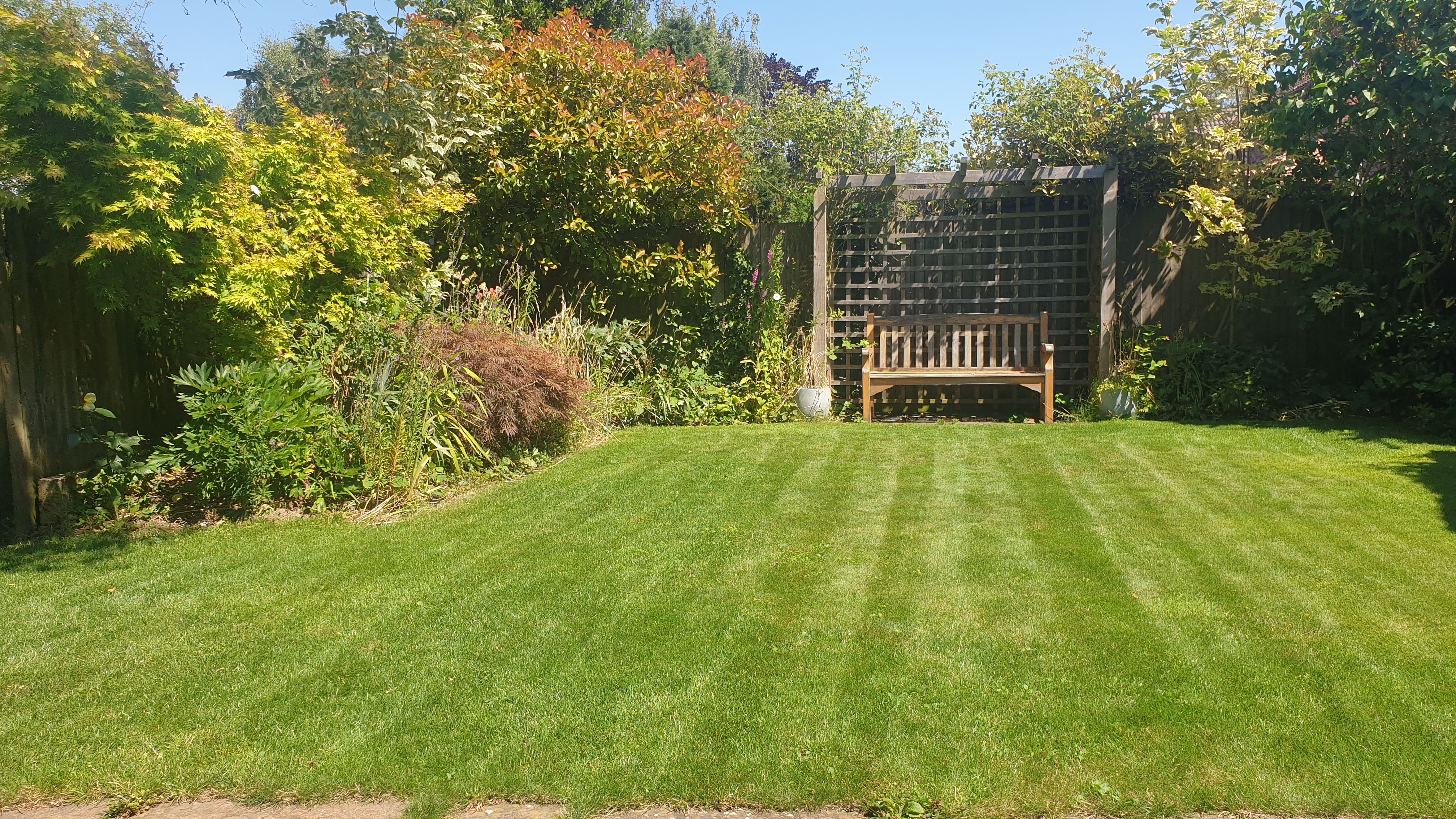 <h5>Lawn & hedge cutting</h5>
